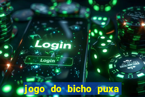 jogo do bicho puxa de dona maria